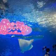 ヒメ日記 2025/09/22 11:34 投稿 かな♡極上素股ご堪能あれ♡ ぴゅあぱい＆ぷりてぃ♡ぴゅあグループ誠実すぎる風俗♡返金保証店♡八代宇土