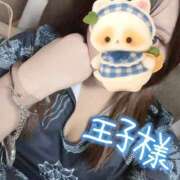 ヒメ日記 2026/01/03 06:18 投稿 りま 鎌倉御殿 新館