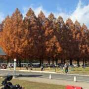 ヒメ日記 2025/12/10 23:46 投稿 春野 ひまり Canx2 谷九日本橋店