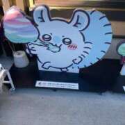 ヒメ日記 2026/02/06 01:46 投稿 みる 所沢東村山ちゃんこ