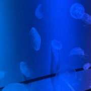 ヒメ日記 2026/02/06 23:33 投稿 みる 所沢東村山ちゃんこ