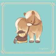 ヒメ日記 2026/01/01 18:17 投稿 こむぎ しろうとCollection