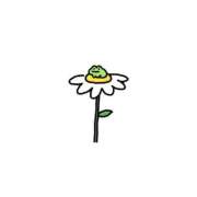 こむぎ 03/18 しろうとCollection