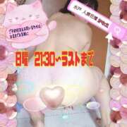 かなえ 明日＆明後日出勤します✨(事前ご予約受付中) 水戸人妻花壇