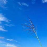 ヒメ日記 2025/09/23 11:37 投稿 恋歌-れんか- 人妻倶楽部 花椿大崎店