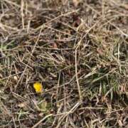 ヒメ日記 2026/02/19 16:21 投稿 恋歌-れんか- 人妻倶楽部 花椿大崎店