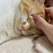 ヒメ日記 2025/09/22 12:51 投稿 奏りた ワイフコレクション