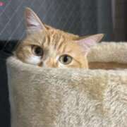 ヒメ日記 2025/10/04 23:37 投稿 奏りた ワイフコレクション