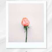 ヒメ日記 2025/10/22 16:47 投稿 奏りた ワイフコレクション