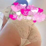 ヒメ日記 2025/09/23 11:51 投稿 (コスパ)川田あかり 風俗イキタイいわき店