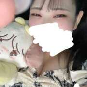 ヒメ日記 2025/09/19 07:34 投稿 ちい One More奥様　蒲田店