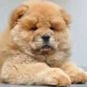 ヒメ日記 2025/09/24 06:43 投稿 ちい One More奥様　蒲田店