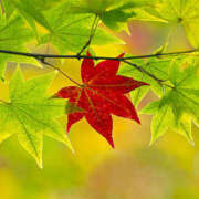 ヒメ日記 2025/10/17 16:32 投稿 かな 所沢デリヘル桜