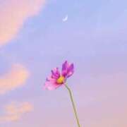 ヒメ日記 2025/11/01 16:53 投稿 かな 所沢デリヘル桜