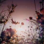 ヒメ日記 2025/11/11 09:03 投稿 かな 所沢デリヘル桜