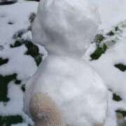 ヒメ日記 2026/02/08 20:42 投稿 かな 所沢デリヘル桜