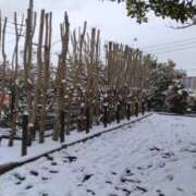 ヒメ日記 2026/02/12 13:32 投稿 かな 所沢デリヘル桜