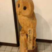 ヒメ日記 2026/02/25 17:26 投稿 かな 所沢デリヘル桜