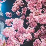 ヒメ日記 2026/03/06 17:34 投稿 かな 所沢デリヘル桜