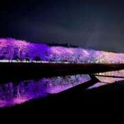 ヒメ日記 2026/03/30 16:30 投稿 かな 所沢デリヘル桜