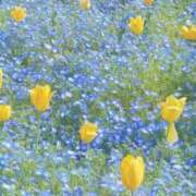 ヒメ日記 2026/05/26 21:44 投稿 かな 所沢デリヘル桜