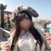 LISE プラベりせち㊙️ さくらん東京