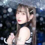 ヒメ日記 2025/12/15 18:21 投稿 あまね JAPAN CLUB BUNNY LOUNGE