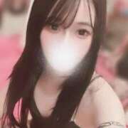 ヒメ日記 2025/12/18 19:29 投稿 あまね JAPAN CLUB BUNNY LOUNGE