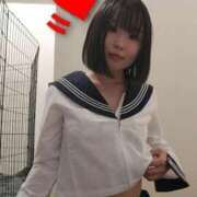 ヒメ日記 2026/01/04 01:06 投稿 れあ 妖精（ようせい）