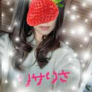 ヒメ日記 2026/04/06 10:43 投稿 金城リサ 京都プルプルエステ専門店