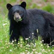 ヒメ日記 2025/10/18 09:45 投稿 もか 熟女の風俗最終章 仙台店