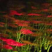 ヒメ日記 2025/10/22 18:26 投稿 もか 熟女の風俗最終章 仙台店