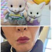 ヒメ日記 2025/12/26 22:52 投稿 もか 熟女の風俗最終章 仙台店