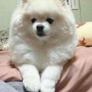 ヒメ日記 2026/02/04 10:16 投稿 もか 熟女の風俗最終章 仙台店