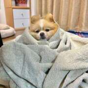 ヒメ日記 2026/02/21 08:39 投稿 もか 熟女の風俗最終章 仙台店