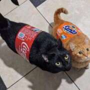 ヒメ日記 2026/02/28 23:24 投稿 もか 熟女の風俗最終章 仙台店