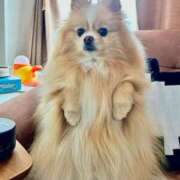 ヒメ日記 2026/03/05 20:44 投稿 もか 熟女の風俗最終章 仙台店