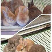 ヒメ日記 2026/04/23 22:44 投稿 もか 熟女の風俗最終章 仙台店