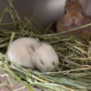 ヒメ日記 2026/04/23 22:49 投稿 もか 熟女の風俗最終章 仙台店