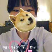 ヒメ日記 2026/05/17 22:47 投稿 りり 優しいM性感 五反田