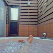 ヒメ日記 2026/02/16 09:30 投稿 凛(りん) モアグループ西川口人妻城