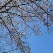 ヒメ日記 2026/03/30 13:20 投稿 凛(りん) モアグループ西川口人妻城