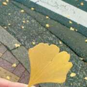 ヒメ日記 2025/11/27 10:35 投稿 おるは 横浜ミセスアロマ（ユメオト）