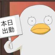 ヒメ日記 2025/11/16 11:05 投稿 つかさ 丸妻 厚木店