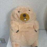 ヒメ日記 2025/11/02 10:02 投稿 ねお 船橋ときめき女学園