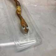 ヒメ日記 2025/11/17 10:21 投稿 ねお 船橋ときめき女学園