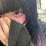 ヒメ日記 2025/11/27 11:41 投稿 ねお 船橋ときめき女学園