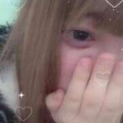 ヒメ日記 2026/03/30 11:21 投稿 ねお 船橋ときめき女学園