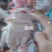 ヒメ日記 2026/01/17 15:01 投稿 こはる びくびくサークル五反田店