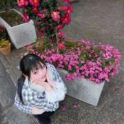 ヒメ日記 2026/01/18 12:02 投稿 こはる びくびくサークル五反田店